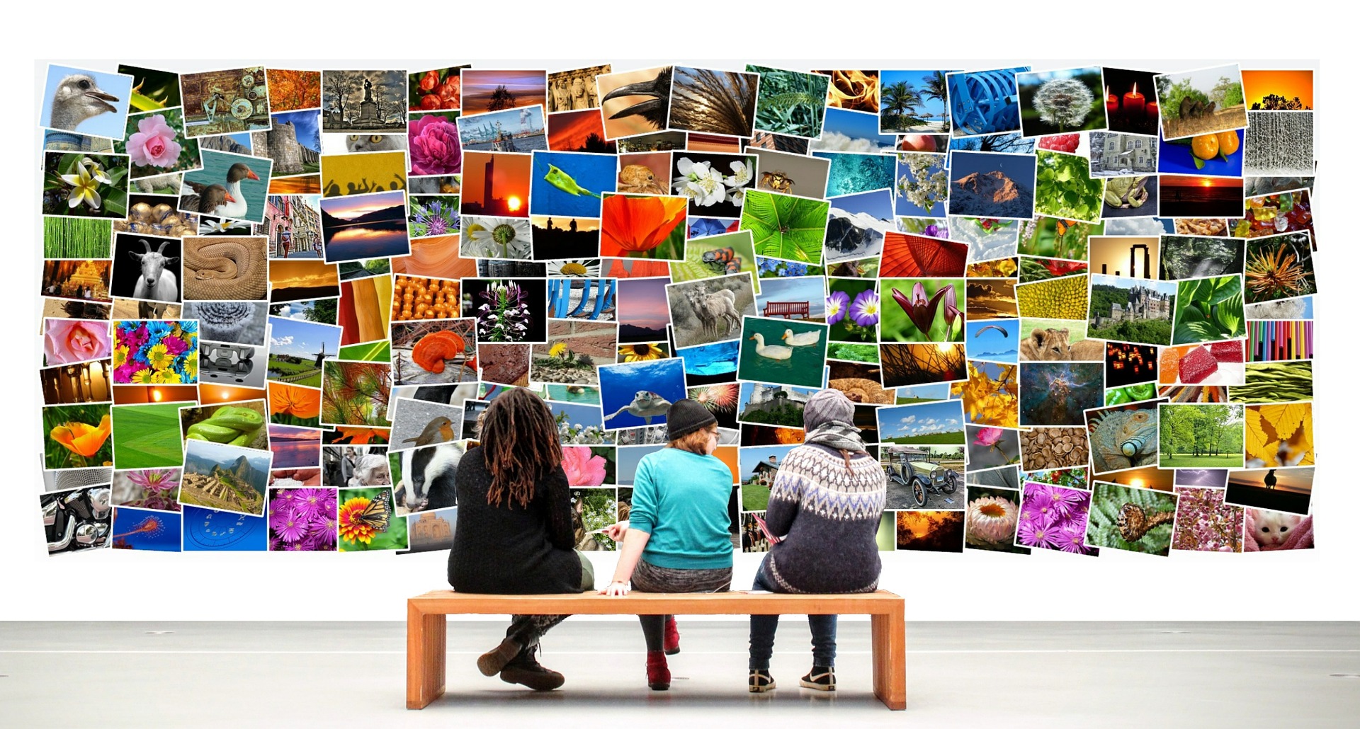 embrace image seo